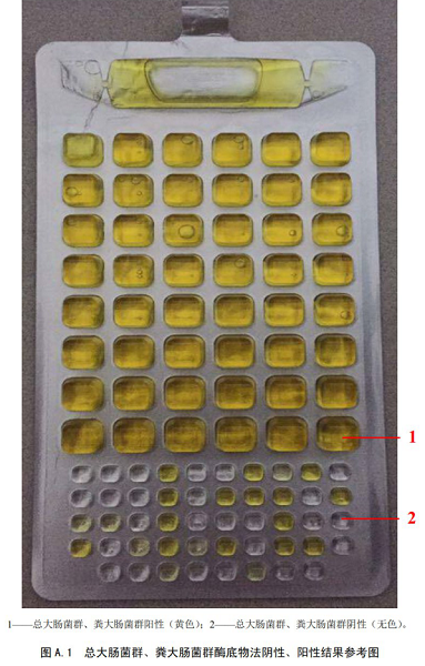 總大腸菌群、糞大腸菌群酶底物法陰性、陽性結(jié)果參考圖